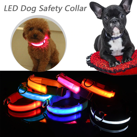 Beam Me Up Illuminated Dog Collar - PuggCo
