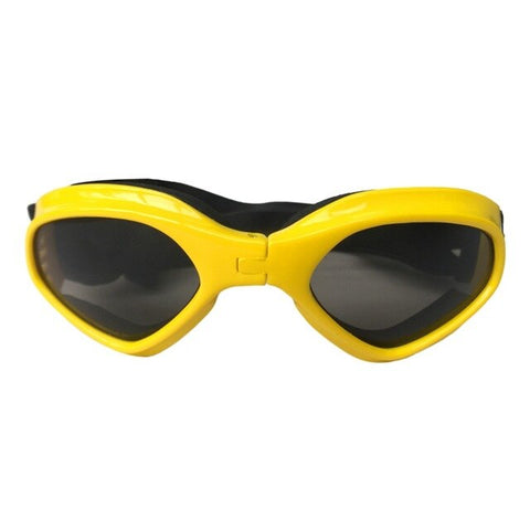 Too Cool for School Foldable Pet Sunglasses - PuggCo